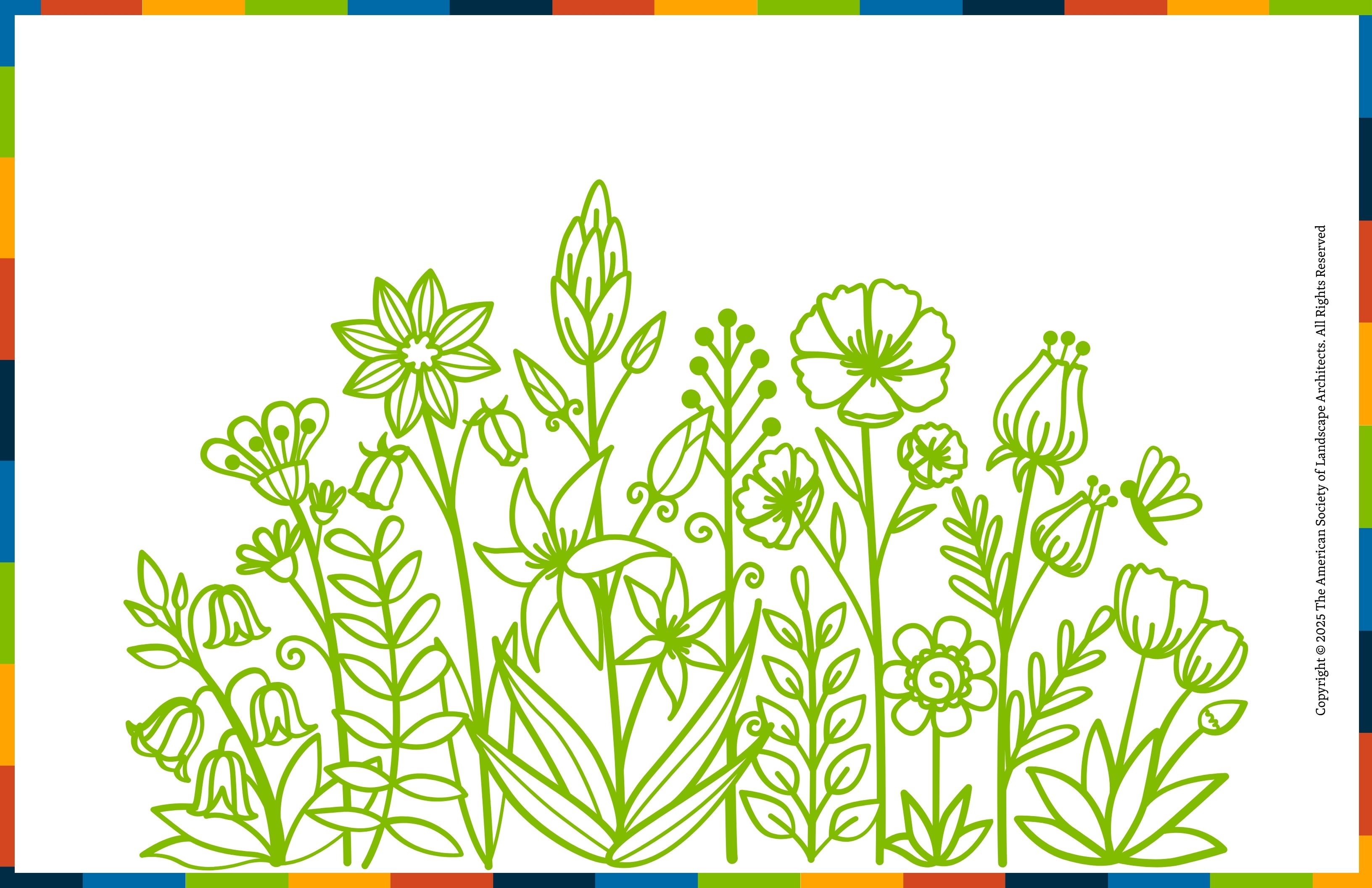Coloring Activity Option